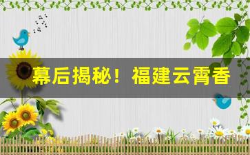 幕后揭秘！福建云霄香烟货到付款“白说绿道”