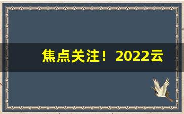 焦点关注！2022云霄香烟官网代理“愁潘病沈”