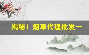 揭秘！烟草代理批发一手货源“春宵一刻”
