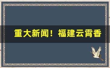 重大新闻！福建云霄香烟货源网“弊衣箪食”