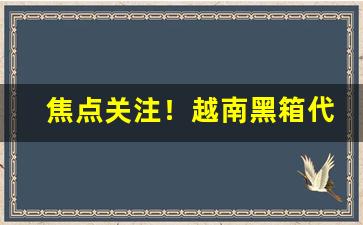 焦点关注！越南黑箱代理一手货源“风流才子”