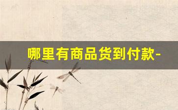 哪里有商品货到付款-货到付款在哪里下单