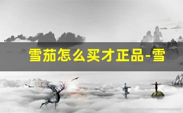 雪茄怎么买才正品-雪茄在中国怎么购买