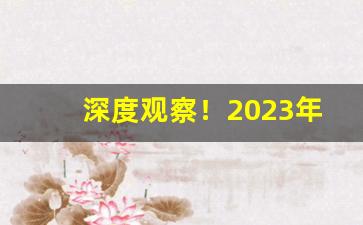 深度观察！2023年货爆款批发一手货源“大小山”