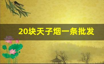 20块天子烟一条批发价格-天子烟全系列价格120