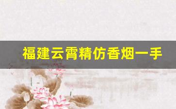 福建云霄精仿香烟一手货源