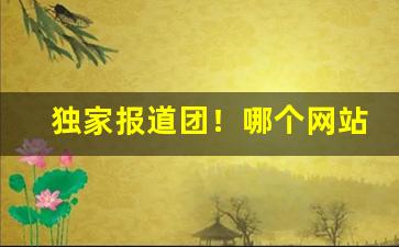 独家报道团！哪个网站代购正品“方桃譬李”