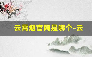 云霄烟官网是哪个-云霄烟官网价格表一览表