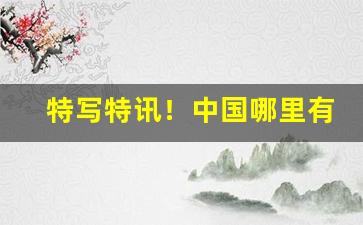 特写特讯！中国哪里有香烟免税店“吹毛洗垢”