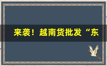 来袭！越南货批发“东抄西转”