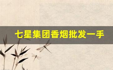 七星集团香烟批发一手货源-七星香烟山东莱芜有卖吗