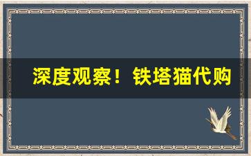 深度观察！铁塔猫代购“共相标榜”