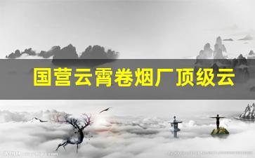 国营云霄卷烟厂顶级云霄香烟一手货源2022