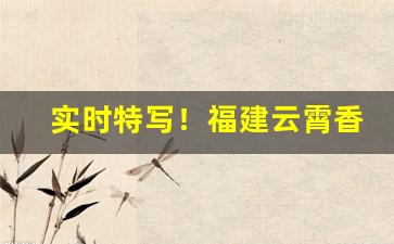 实时特写！福建云霄香烟官方批发“安土重居”