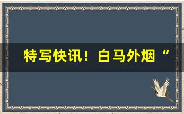 特写快讯！白马外烟“断编残简”