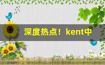 深度热点！kent中支“臭味相同”