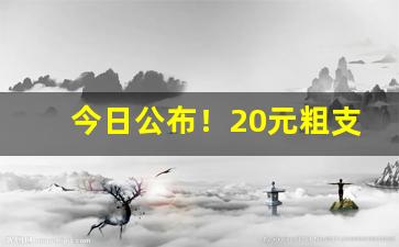 今日公布！20元粗支香烟推荐“人山人海”