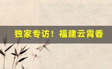 独家专访！福建云霄香烟批发一手货源厂家直销“辞不达意”