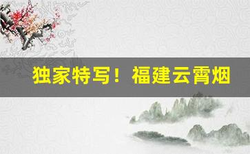 独家特写！福建云霄烟官方价格表“脍炙人口”