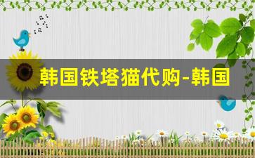 韩国铁塔猫代购-韩国当地铁塔猫哪里有卖的