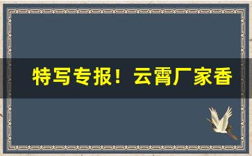 特写专报！云霄厂家香烟一手货源“东南雀飞”