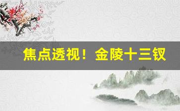 焦点透视！金陵十三钗批发价格多少“洞烛其奸”