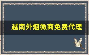 越南外烟微商免费代理一手货源-越南烟大量批发