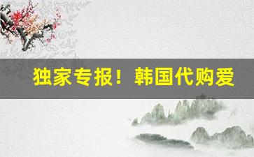 独家专报！韩国代购爱喜“东坡画扇”