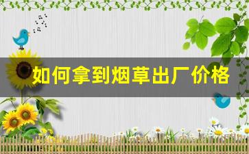如何拿到烟草出厂价格呢-烟草进价一览表在哪查看