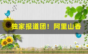 独家报道团！阿里山香烟那款最好抽“防微杜渐”