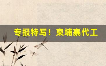 专报特写！柬埔寨代工中华“查无实据”