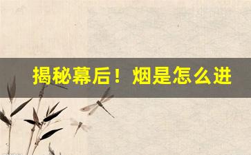 揭秘幕后！烟是怎么进货的“博文强记”