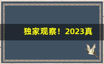 独家观察！2023真正越南代工香烟批发“餔糟歠醨”