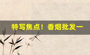 特写焦点！香烟批发一手货源网正品“傍柳随花”