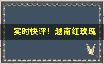 实时快评！越南红玫瑰哪里批发“没精打采”