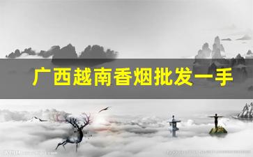 广西越南香烟批发一手货源-广西北海有批发越南烟的吗