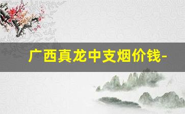 广西真龙中支烟价钱-广西真龙香烟45元档次