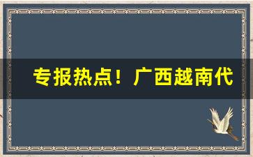 专报热点！广西越南代工香烟批发“词源倒峡”