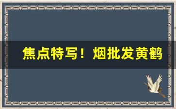 焦点特写！烟批发黄鹤楼“恩深似海”