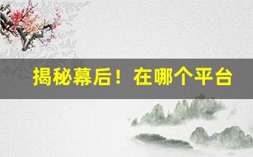 揭秘幕后！在哪个平台上可以买到正品“崇德报功”
