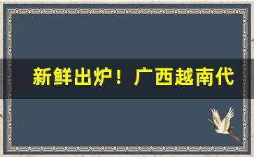 新鲜出炉！广西越南代工烟批发一手货源“冰冻三尺”