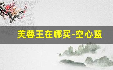 芙蓉王在哪买-空心蓝芙蓉王多少钱一包