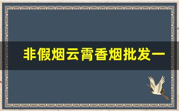非假烟云霄香烟批发一手货源