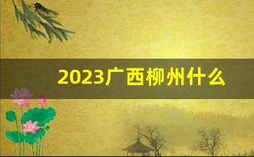 2023广西柳州什么烟好卖-柳州烟厂最贵的烟排名