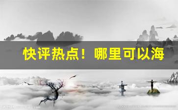 快评热点！哪里可以海淘香烟“多谋善断”