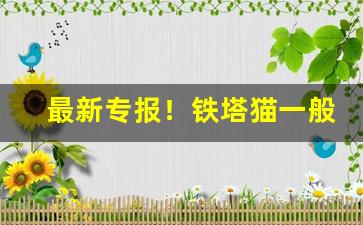 最新专报！铁塔猫一般哪里有卖“沉滓泛起”