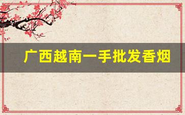 广西越南一手批发香烟-广西东兴越南香烟图片