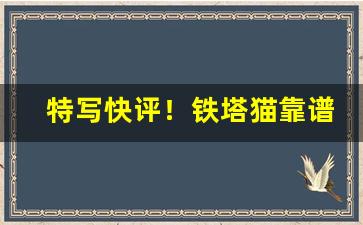 特写快评！铁塔猫靠谱的代购店铺“讹以传讹”