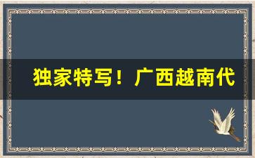 独家特写！广西越南代工一手香烟“别开生面”