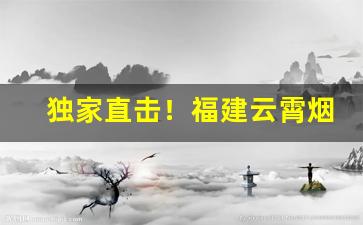 独家直击！福建云霄烟价格表2022云霄香烟官网“放纵不拘”